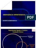 Crise Hipertensiva 2010