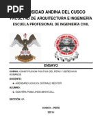 La Constitución Politica Del Perú Debe Ser Modificada - Saavedra Puma Jhon Mhaycoll