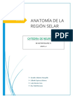 Anatomia Del Are Ginsel Ar