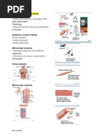 Chapter 1: The Human Body Anatomy: Cute Si Sachiko