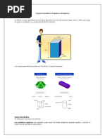Cuerpos Geométricos Regulares e Irregulares