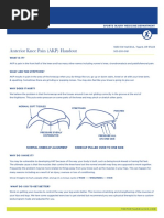 Anterior Knee Pain (AKP) Handout: Sports Injury Medicine Department