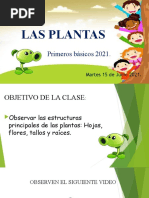 LAS PLANTAS Lunes 30 Agosto.