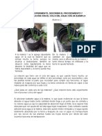 Realizar Un Experimento, Describir El Procedimiento y Analizar Su Relación Con El Ciclo Del Agua Con Un Ejemplo