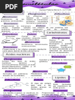 Bernal Z - Examen Parcial 1 - Parte 5