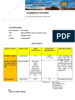 Calendar of Activities: Tayabas City Campus