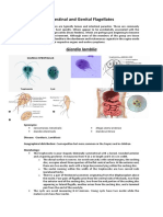 Intestinal and Genital Flagellates-Edit