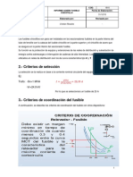 Informe de Fusible Chicotillo