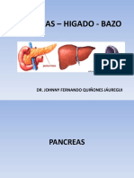 TEORÍA 28 ANATOMÍA HUMANA - PANCREAS-BAZO-HÍGADO - TRONCO CELIACO (Miércoles 12.11.14) SAN BORJA MB - UPSJB - DR. JOHNNY FERNANDO QUIÑONES JÁUREGUI