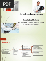 3.3 Pruebas Diagnosticas