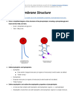 1.3 Membrane Structure - Questions and Answers