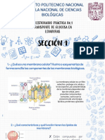 Cuestionario Practica No.1 Seccion 1 5qm2