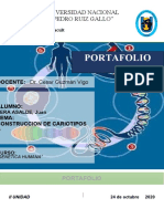 Portafolio Cariotipos Vera