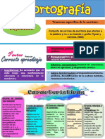 Infografia Disortografia