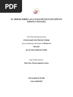 Tesis Sánchez Gallego, Jose Felix Error en Derecho Penal