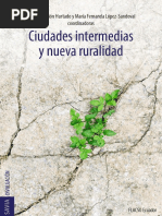 Ciudadesintermedias0501 7464