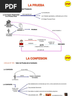 La Prueba en El Proceso Penal