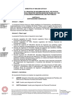 DIRECTIVA #0004-2021-EF53.01 Directiva AIRHSP