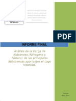 Informe - Final - Estudios Cargas Lago Villarrica