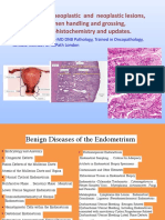 4C Uterus