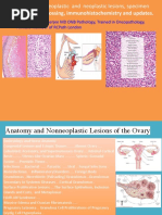 4D Ovary