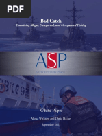 White Paper - Bad Catch: Examining IUU Fishing