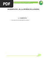 Informe Fisica 2