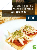 Quesos Veganos Módulo 5