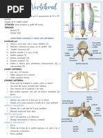 Columna General