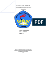 Makalah Hasil Observasi