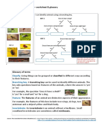 12 Branching Key Activity Appendix 12