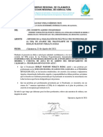 Informe Asesor de Practicas