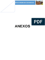 Formato - Anexos