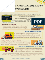 INFOGRAFIA de Mecanismos Constitucionales de Proteccion