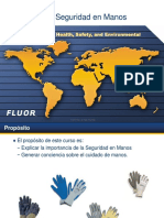 Hse150 Conciencia de Seguridad en Manos PQ 2020