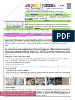 Actividad - Semana 25 - C y T - 5to - 2021