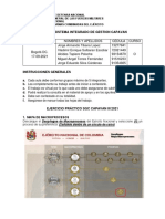 Trabajo Sig Capavan