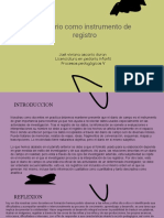 El Diario Como Instrumento de Registro