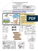 GUIA 11..curso 4..ecosistemas