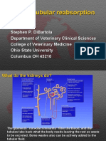 Renal Tubular Reabsorption Renal Tubular Reabsorption