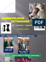 Dermato Veterinara