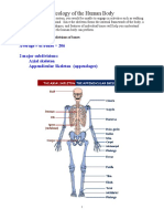 Osteology of The Human Body