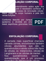 Esfoliação Corporal 1