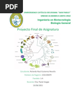 Rolando - Gutierrez - Proyecto Final