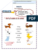 Tarea de Ingles The Animals.