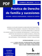 Practica de Derecho de Familia y Sucesiones. 2019. Tomo 1. Claudio Belluscio2