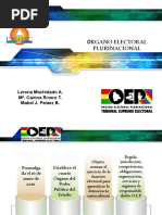 OEP-ORGANO ELECTORAL Expo