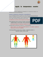 Ficha Homeostasis - Estudiantes