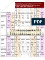 (Reflexologia) Reflexología Dental (2p)