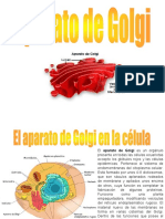 Aparato de Golgi y Lisosomas